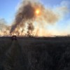 Экологическая сознательность