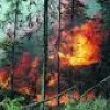 Недопустимо лісових пожеж