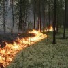 Небезпека пожеж в природних екосистемах!