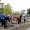 У парку висадили дерева на Алеї героїв