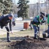 Закликаємо павлоградців відновлювати «зелені легені» нашої країни