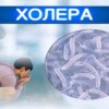 ХОЛЕРА . ПРОФІЛАКТИЧНІ ЗАХОДИ