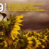 Вшановуємо пам’ять захисників України, які загинули в боротьбі за незалежність, суверенітет та теритолріальну цілісність України