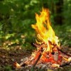 Пожежна небезпека у лісах