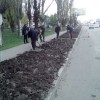 У Павлограді пройшла щорічна акція присвячена «Дню довкілля»