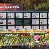 Павлоградці вшанували пам’ять загиблих в АТО