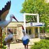Укриттю в ліцеї №9 імені Євгенія Єніна бути!
