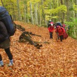 НОВОСТИ СПОРТА