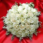 Привітання міського голови І.С.Метелиці