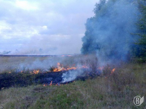 Шановні  громадяни!