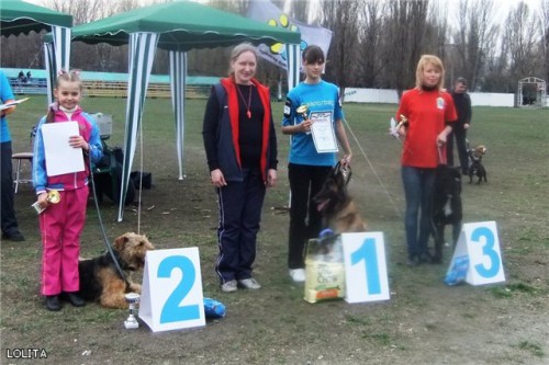 Відбулися Всеукраїнські змагання зі спорту з собаками