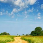 «Гаряча лінія» по проблемним земельним питанням