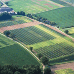 Перелік земельних ділянок які виставляються на земельні торги