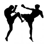 Чемпионат Украины по кикбоксингу в Павлограде