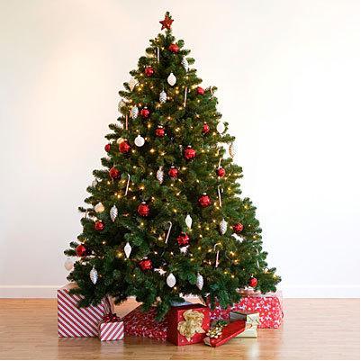 ЗАПРОШУЄМО!!!