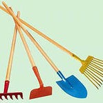 Городские власти возобновляют акцию по благоустройству «Чистый четверг».