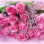 Шановні рятувальники, працівники та ветерани пожежної служби!