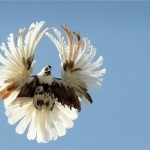 Запрошуємо Вас на виставку-ярмарок!!!