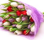 Шановні павлоградці!