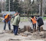 Озеленення рідного міста