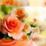 Шановні працівники бібліотек!