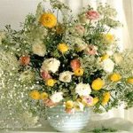 Шановні земляки!