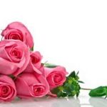 Шановні працівники КП «Павлоградтеплоенерго»!