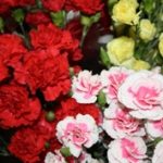 Шановний Валентине Андрійовичу!