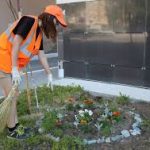 Оголошення  про проведення конкурсу з благоустрою міста