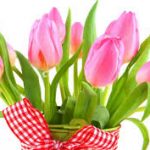 Всеукраинский рейд урок 2017