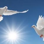 Запрошуємо приєднатися до флешмобу «Голуб миру»!