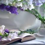 Шановні працівники бібліотек!