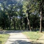 Про проведення громадських обговорень під час розгляду питань щодо присвоєння назв паркам, скверам, бульварам м. Павлоград.