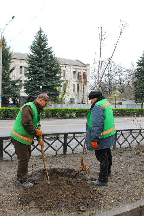 Зробимо місто зеленим та затишним