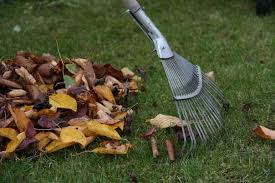 Всім, хто щиро любить своє місто!