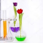 Шановні працівники хімічної промисловості!