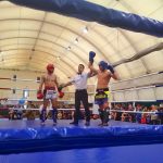 Павлоградські спортсмени вибороли призові місця  на чемпіонаті України з кікбоксингу