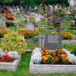 Живі квіти краще!