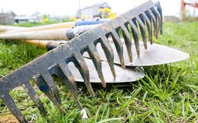 Усі на толоку!