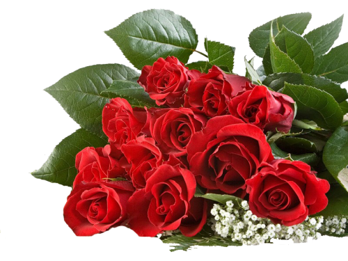 Шановні працівники соціальної сфери міста!