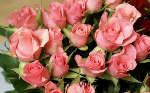 Шановні працівники торгівлі!