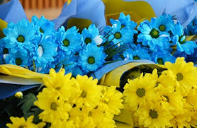 Працівників місцевого самоврядування привітали з професійним святом