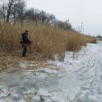 Береги річки Вовча очистили від очерету