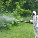 Проведення дезінсекційних заходів на території  зелених зон міста Павлоград