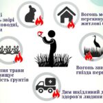 СПАЛЮВАННЯ ЛИСТЯ ТА СУХОЇ ТРАВИ, ГІЛОК – ПОЗА ЗАКОНОМ