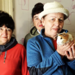 Змістовне дозвілля для студентів Університету третього покоління