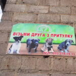 День відкритих дверей у притулку для тварин