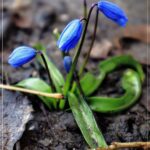 Павлоградці! Ніч у місті пройшла спокійно