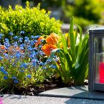 Живі квіти краще штучних!