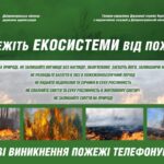 ПРИЧИНИ ПОЖЕЖ В ЕКОСИСТЕМАХ.  СПАЛЕННЯ СМІТТЯ ТА СУХОСТОЮ
